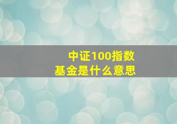 中证100指数基金是什么意思