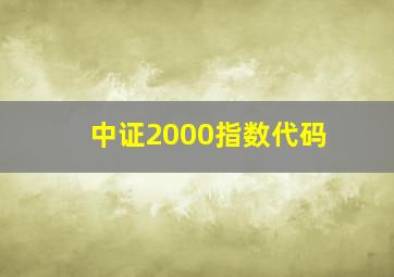 中证2000指数代码