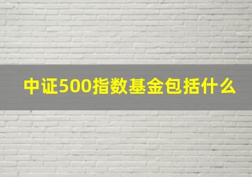 中证500指数基金包括什么