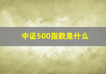 中证500指数是什么