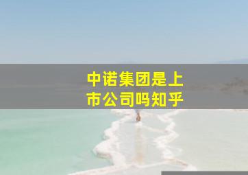 中诺集团是上市公司吗知乎