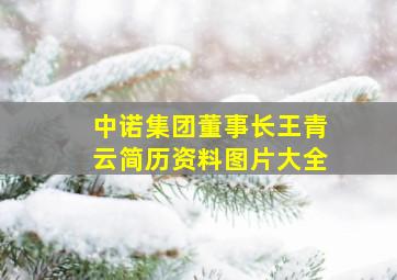 中诺集团董事长王青云简历资料图片大全