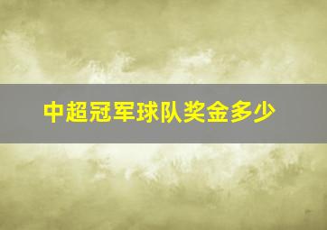 中超冠军球队奖金多少