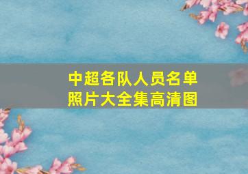 中超各队人员名单照片大全集高清图