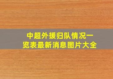 中超外援归队情况一览表最新消息图片大全