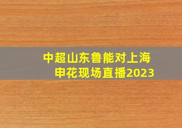 中超山东鲁能对上海申花现场直播2023