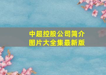 中超控股公司简介图片大全集最新版