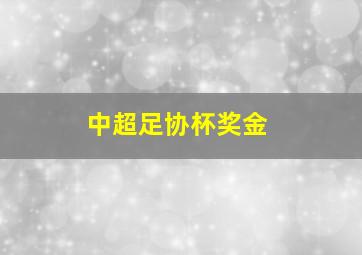 中超足协杯奖金