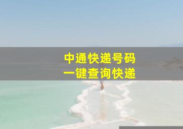 中通快递号码一键查询快递