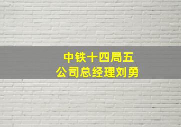 中铁十四局五公司总经理刘勇