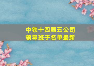 中铁十四局五公司领导班子名单最新