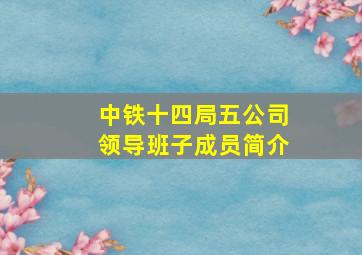 中铁十四局五公司领导班子成员简介