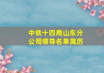 中铁十四局山东分公司领导名单简历