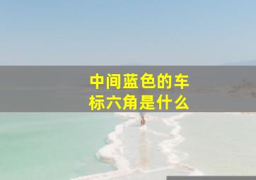 中间蓝色的车标六角是什么