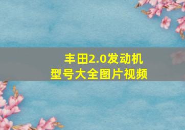 丰田2.0发动机型号大全图片视频