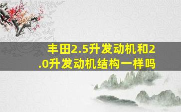 丰田2.5升发动机和2.0升发动机结构一样吗