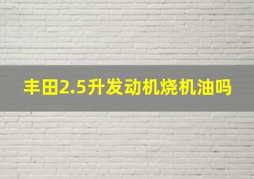 丰田2.5升发动机烧机油吗