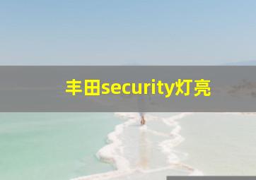 丰田security灯亮