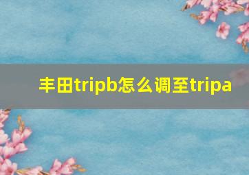 丰田tripb怎么调至tripa