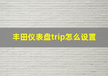 丰田仪表盘trip怎么设置