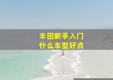 丰田新手入门什么车型好点