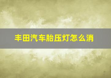 丰田汽车胎压灯怎么消