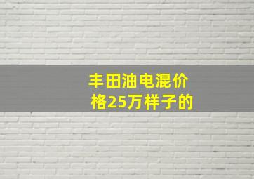 丰田油电混价格25万样子的