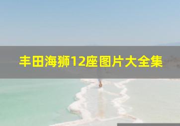 丰田海狮12座图片大全集