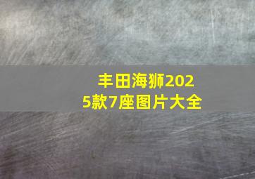 丰田海狮2025款7座图片大全