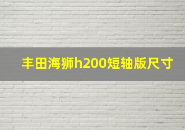 丰田海狮h200短轴版尺寸