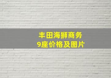 丰田海狮商务9座价格及图片