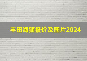 丰田海狮报价及图片2024