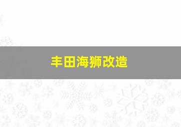 丰田海狮改造