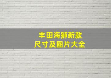 丰田海狮新款尺寸及图片大全