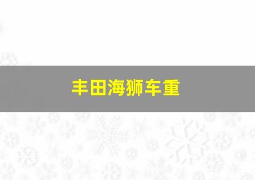 丰田海狮车重