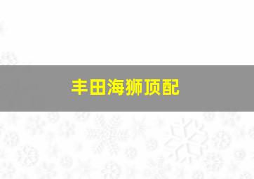 丰田海狮顶配