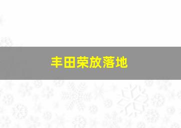 丰田荣放落地