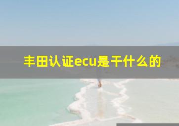 丰田认证ecu是干什么的