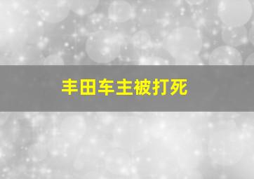 丰田车主被打死