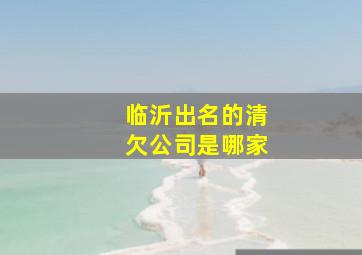 临沂出名的清欠公司是哪家