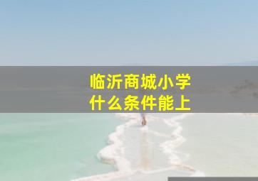 临沂商城小学什么条件能上