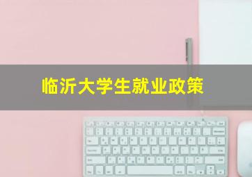 临沂大学生就业政策