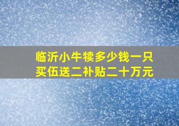 临沂小牛犊多少钱一只买伍送二补贴二十万元