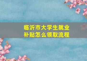 临沂市大学生就业补贴怎么领取流程