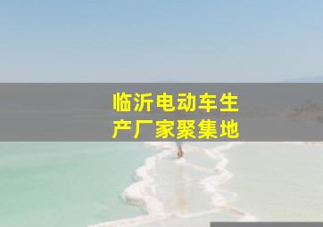 临沂电动车生产厂家聚集地