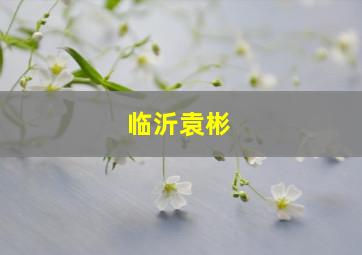 临沂袁彬