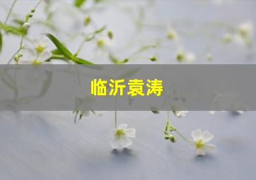 临沂袁涛