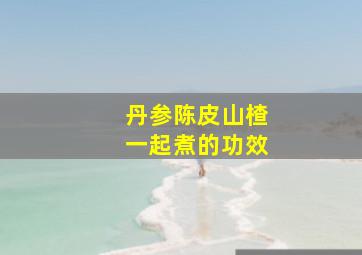 丹参陈皮山楂一起煮的功效