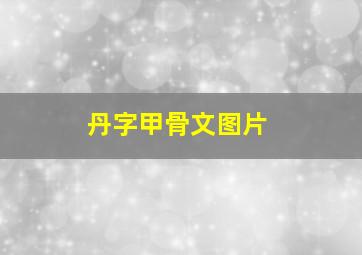 丹字甲骨文图片