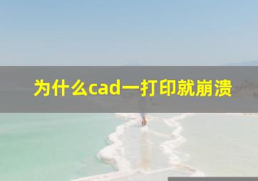 为什么cad一打印就崩溃